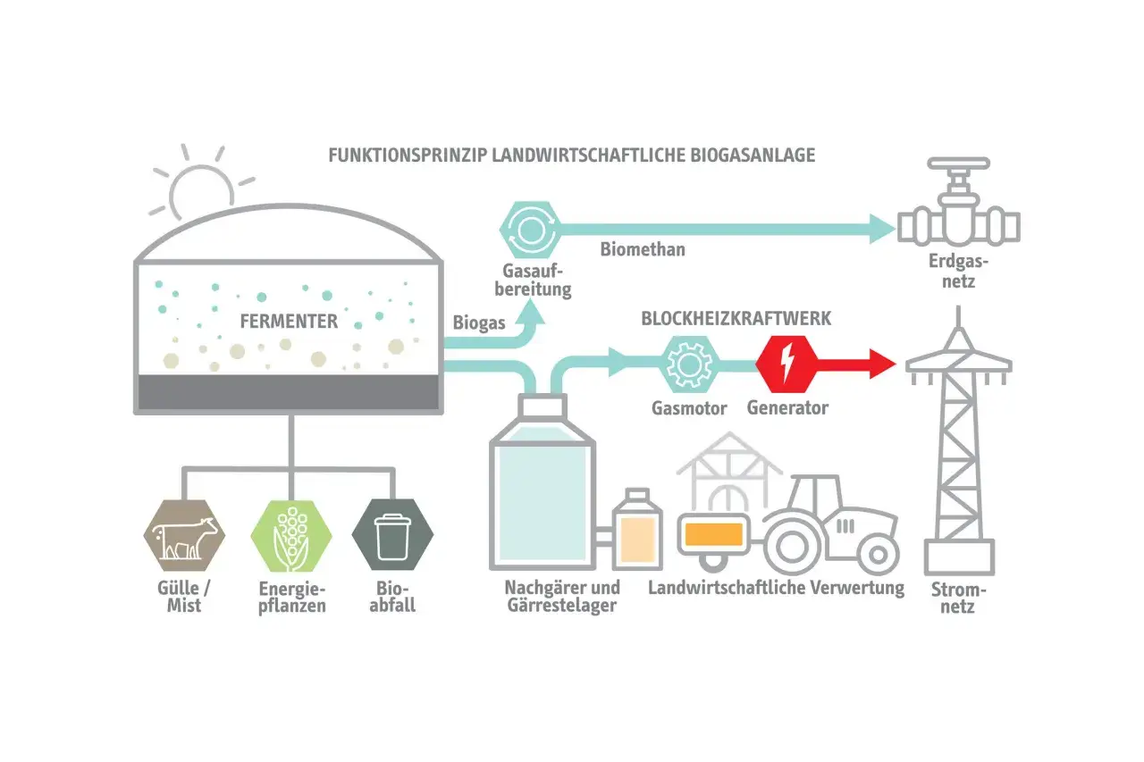 Schema einer Biogasanlage: Gülle, Energiepflanzen und Bioabfall werden im Fermenter zu Biogas verarbeitet. Dieses wird aufbereitet, liefert Strom und Wärme, und wird ins Erdgasnetz eingespeist. Erneuerbare Energie aus der Landwirtschaft.