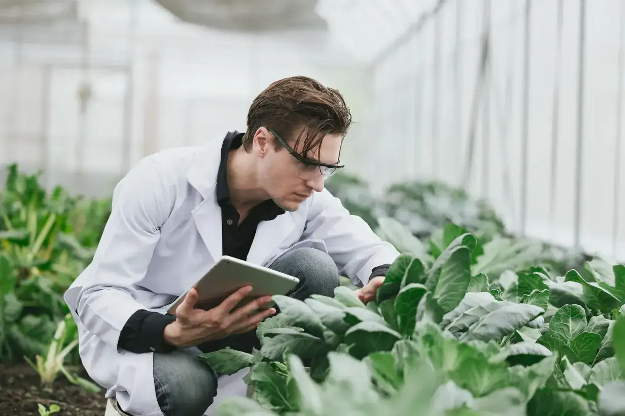 Mann in Laborkittel prüft Pflanzen mit Tablet. Ein Beispiel für grüne Jobs in Deutschland.