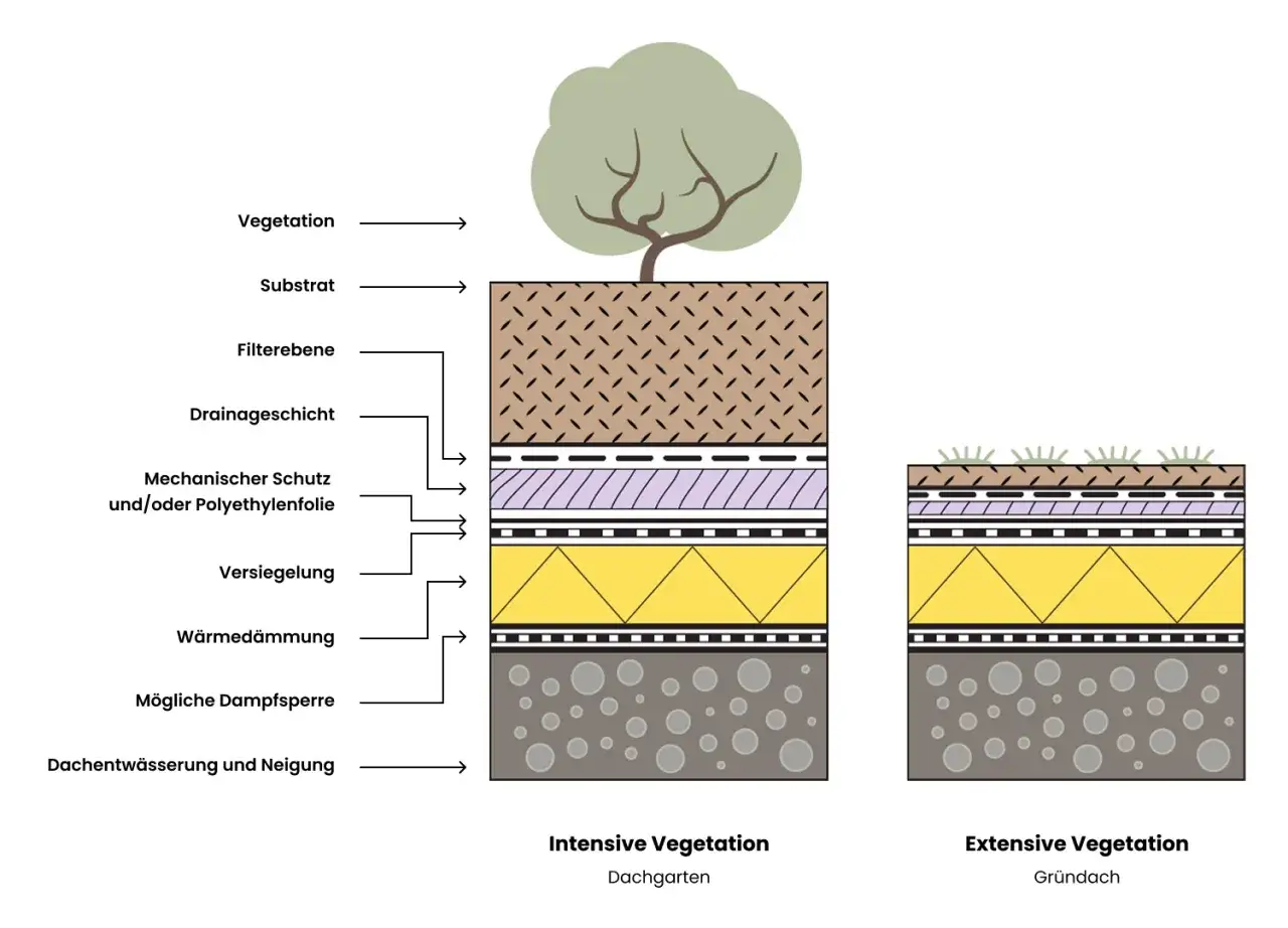 Schema zeigt Schichten eines bewachsenen Dachs: Substrat, Filter, Drainage, Schutz, Versiegelung, Dämmung. Links intensive, rechts extensive Begrünung.
