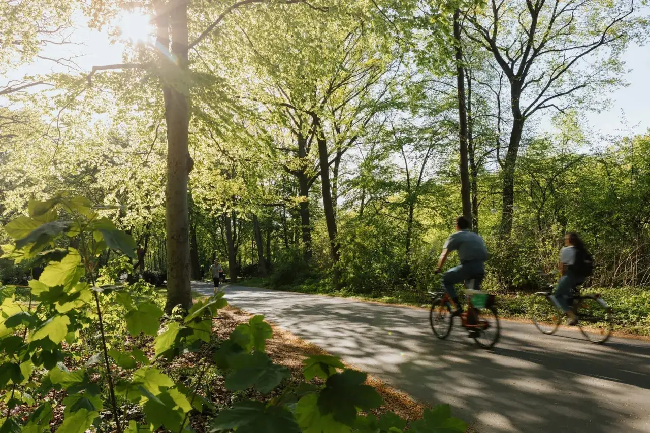 Zwei Radfahrer genie&szlig;en die Sonne auf einem Weg im Gr&uuml;nen. Ein Bild von einer lebenswerten Stadt mit viel Natur.