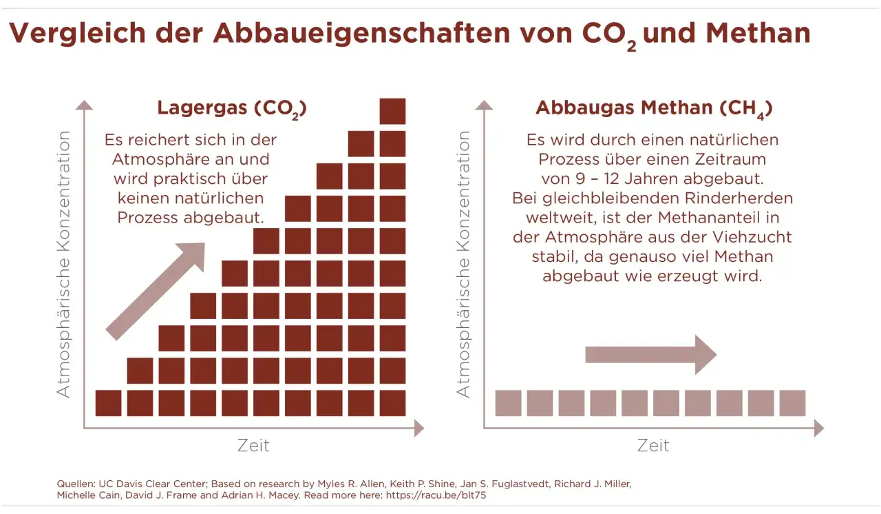Vergleich von CO₂ und Methan: CO₂ reichert sich an, Methan aus Rinderzucht wird abgebaut.
