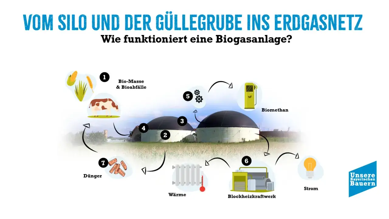 Schema zeigt, wie Biogasanlagen aus Biomasse und Gülle erneuerbare Energie (Biomethan, Strom, Wärme) erzeugen.