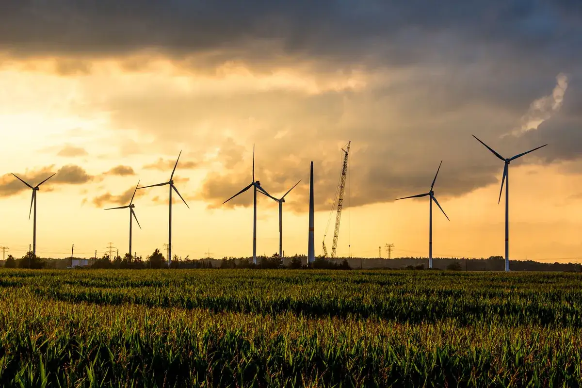Windräder im Abendlicht, ein Feld mit Mais und eine Baustelle für erneuerbare Energien, die die Umsetzung der erneuerbare energien richtlinie symbolisiert.