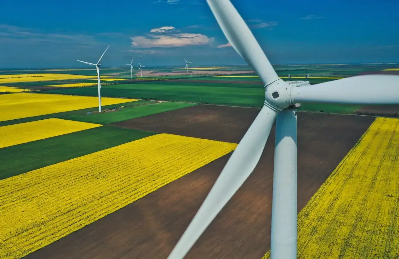 Windräder drehen sich über Feldern mit Raps und grünen Pflanzen. Onshore windkraft für eine saubere Zukunft.