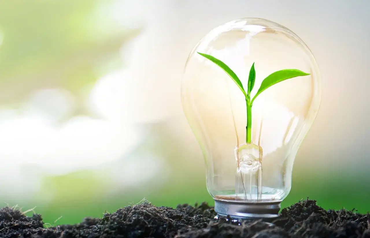 GreenTech Start-up Deutschland Kreislaufwirtschaft erneuerbare Energien nachhaltige Innovation