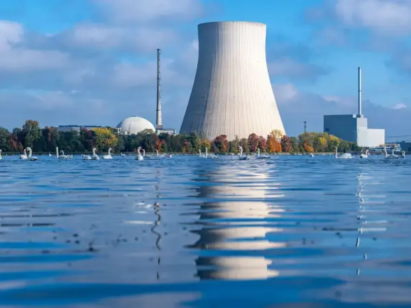 Schwanenfamilie auf einem See vor einem Atomkraftwerk. Frankreich baut neue Atomkraftwerke, doch die Natur zeigt sich unbeeindruckt.