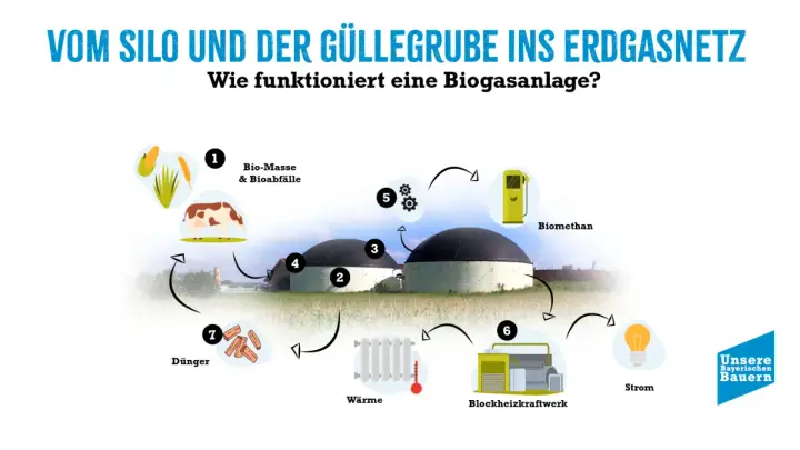 Schema erklärt, wie Biomasse und Gülle in einer Biogasanlage zu Biogas, Wärme und Strom verarbeitet werden.