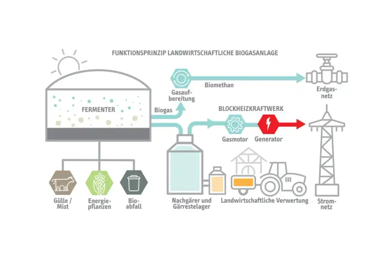 Schema einer Biogasanlage: Gülle, Energiepflanzen und Bioabfall werden im Fermenter zu Biogas verarbeitet. Dieses wird aufbereitet, liefert Strom und Wärme, und wird ins Erdgasnetz eingespeist. Erneuerbare Energie aus der Landwirtschaft.